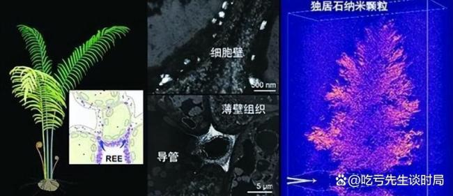 東北凍土發(fā)現(xiàn)超級(jí)稀土礦意味著什么 改寫(xiě)資源格局