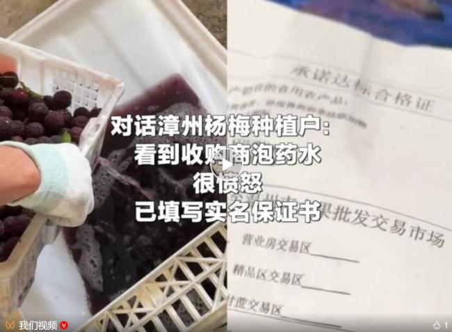 “泡药杨梅”被曝光后，当地协会会长哽咽恳求：给果农一个机会 行业危机亟待解决
