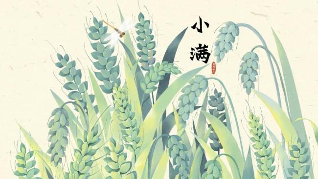 今日小滿 夏日初顯萬物長