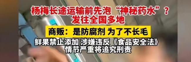 漳州泡藥楊梅事件5人被刑拘 商戶明知有毒仍銷售