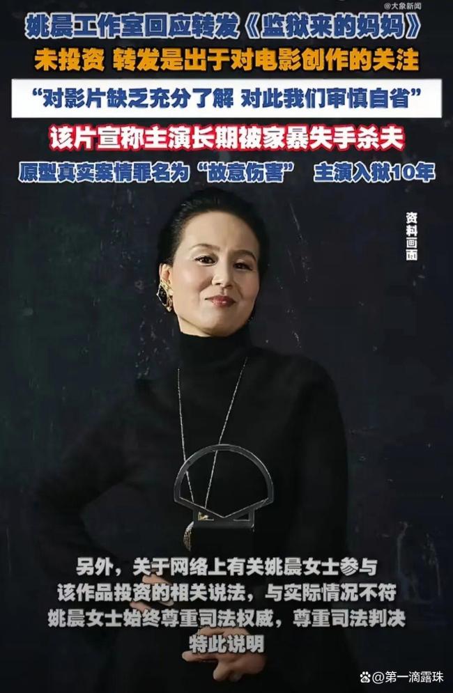 监狱来的妈妈为何让明星接连翻车