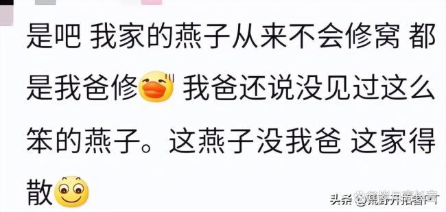 燕子在淋浴喷头上搭窝 房东：先住着 吉祥之兆引发热议