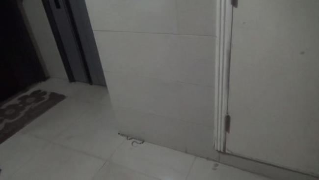 小区电梯间突现小蛇 消防化解险情
