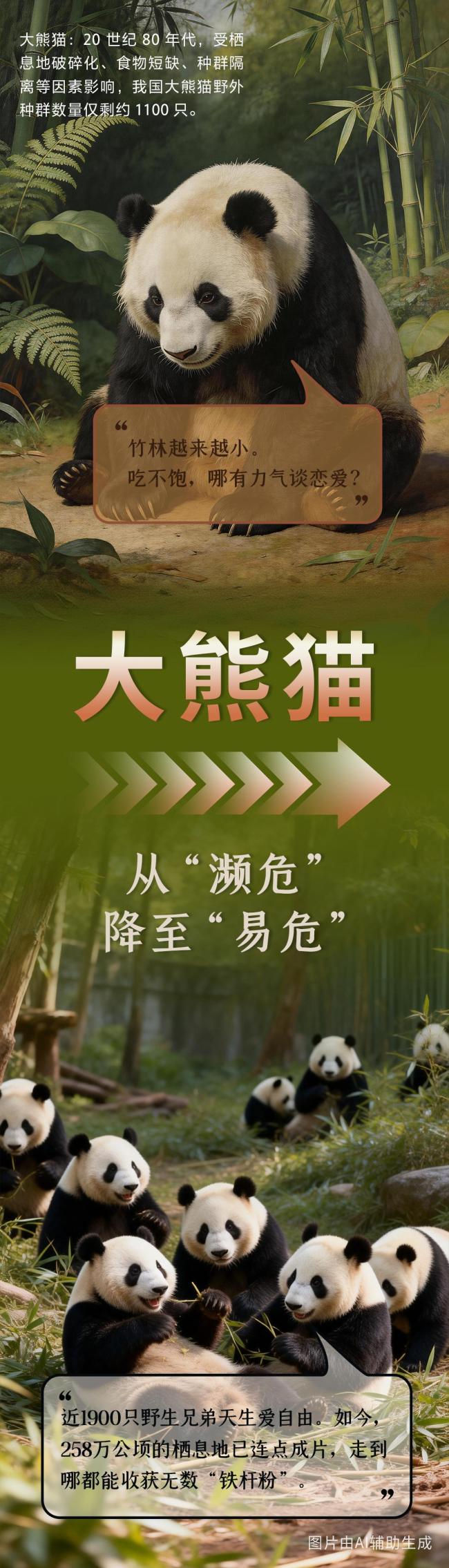 今天国际生物多样性日