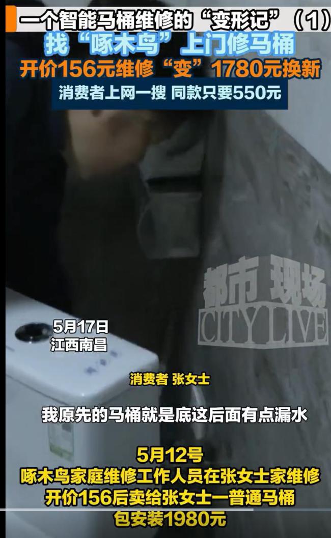 被315曝光的啄木鸟怎么还在乱啄
