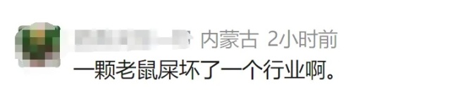 上海最大果品批发市场全面排查杨梅 严查违规添加剂问题