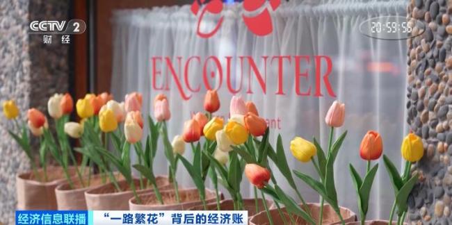 潦草小狗带火20亿元商圈 花卉节催热新业态
