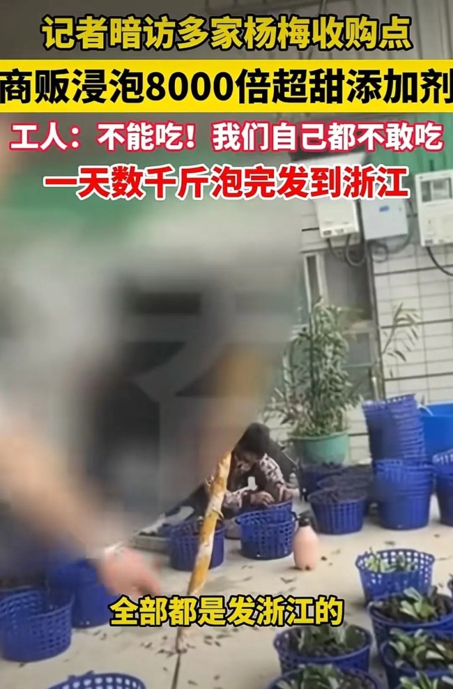 上海最大果品批发市场全面排查杨梅 严查违规添加剂问题