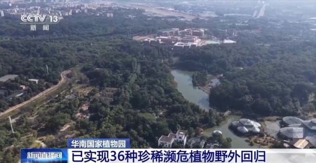 80%國(guó)家重點(diǎn)保護(hù)野生植物得到有效保護(hù) 怎么做到的