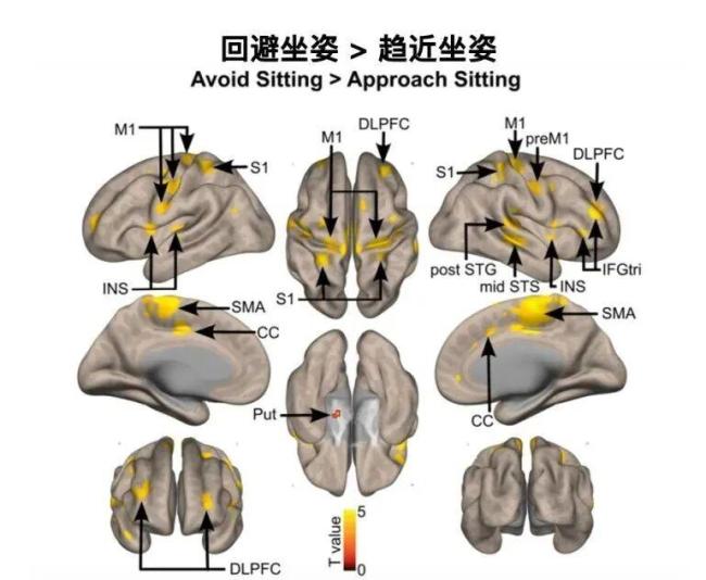 一个方法拯救久坐危害 打破久坐魔咒