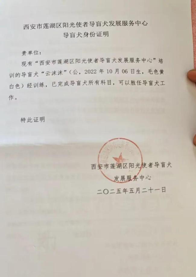 西安申领的导盲犬在天津办不了狗证 属地壁垒引发难题