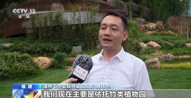 80%国家重点保护野生植物得到有效保护 怎么做到的