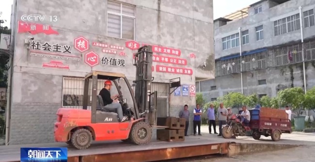 晝夜不息 直擊黃龍鎮(zhèn)小麥搶收48小時