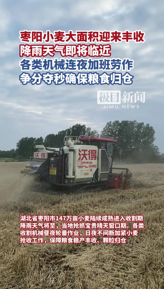 凌晨3点村支书一声吼:雨前必须抢完