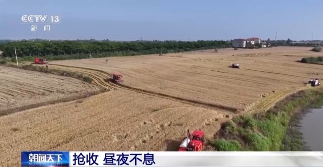 昼夜不息 直击黄龙镇小麦抢收48小时