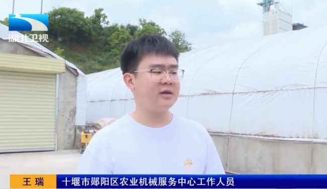 湖北荊州搶收小麥 烘干廠開足馬力 爭分奪秒雨口奪糧