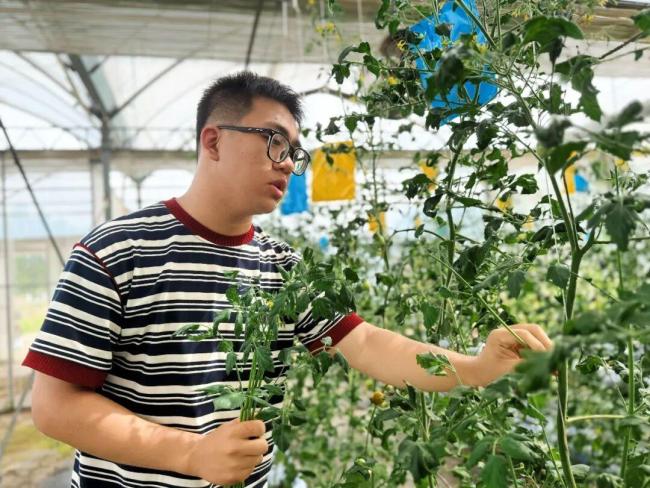 22岁大学生和同学摆摊卖菜 科学种植走红网络