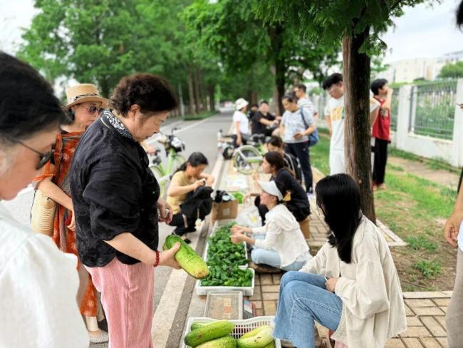 22岁大学生和同学摆摊卖菜 科学种植走红网络