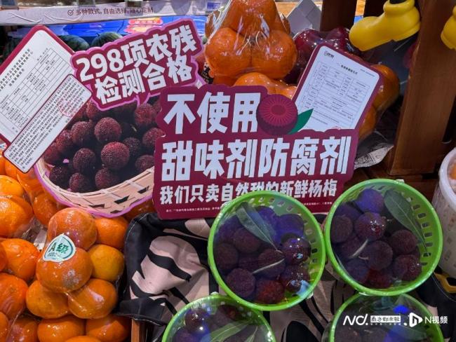 杨梅种植户称不会搞砸自己饭碗 自证清白保信誉