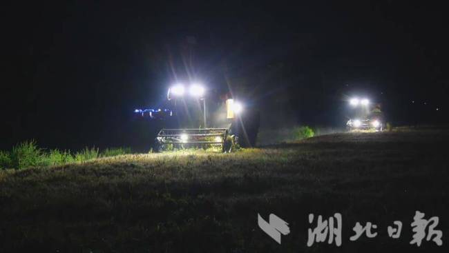外地农机手帮襄阳农户收割小麦