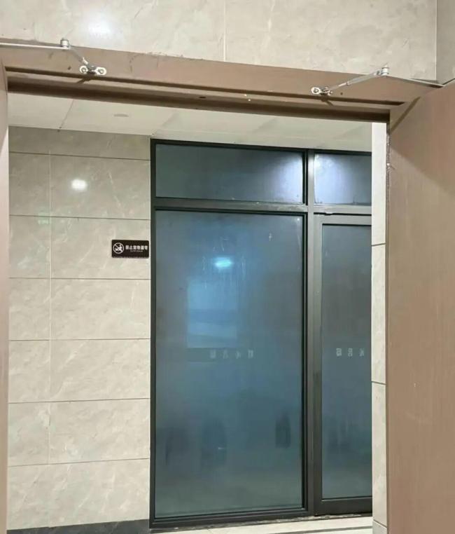 浙江人潮濕得要長鰓了:濕熱超亞馬孫雨林