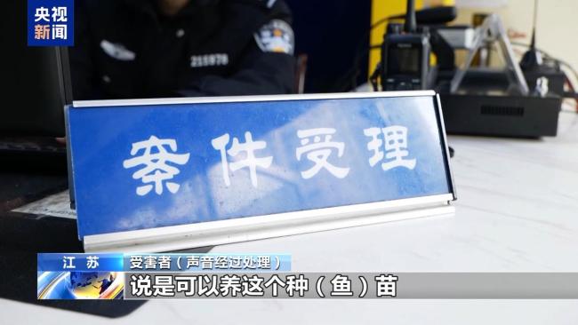 央视起底“魔鬼鱼养殖骗局” 高回报背后的诈骗陷阱