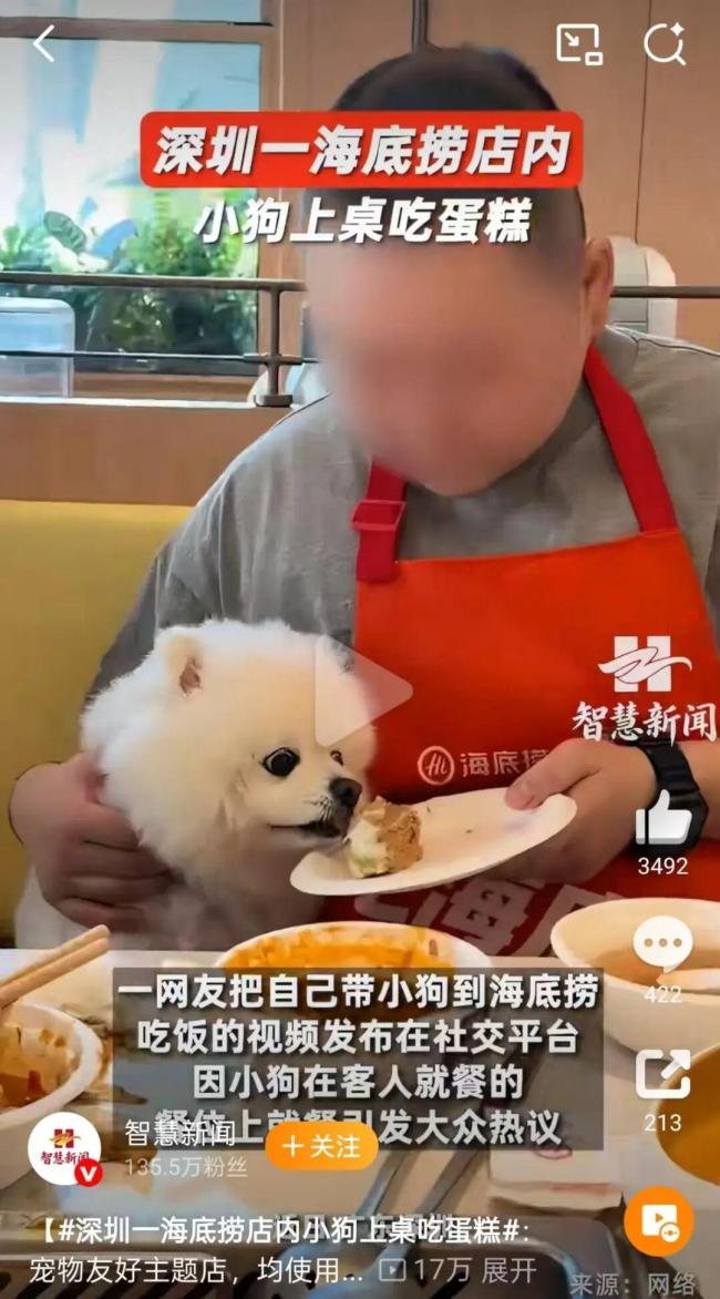 海底捞关闭宠物友好门店试点 食安争议致探索终止