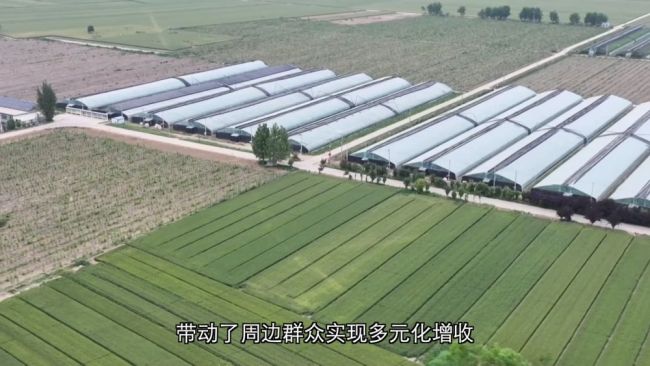 深耕特色富民產(chǎn)業(yè) 激活鄉(xiāng)村振興發(fā)展新動(dòng)能