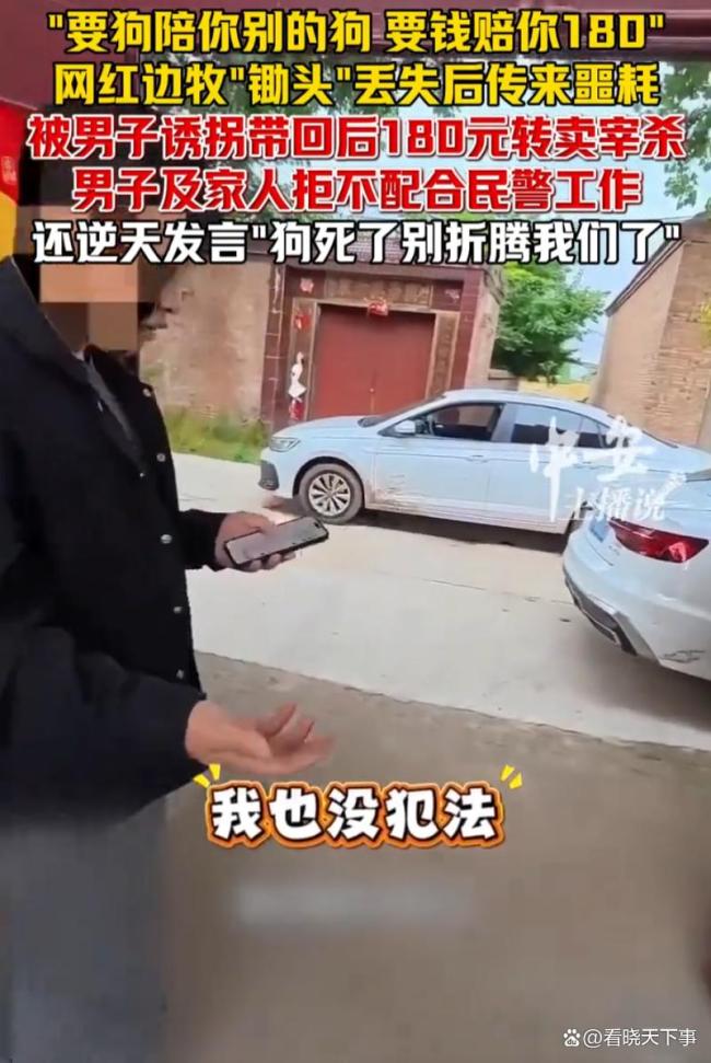 男子拐走网红边牧180元转卖宰杀 偷狗事件引发热议