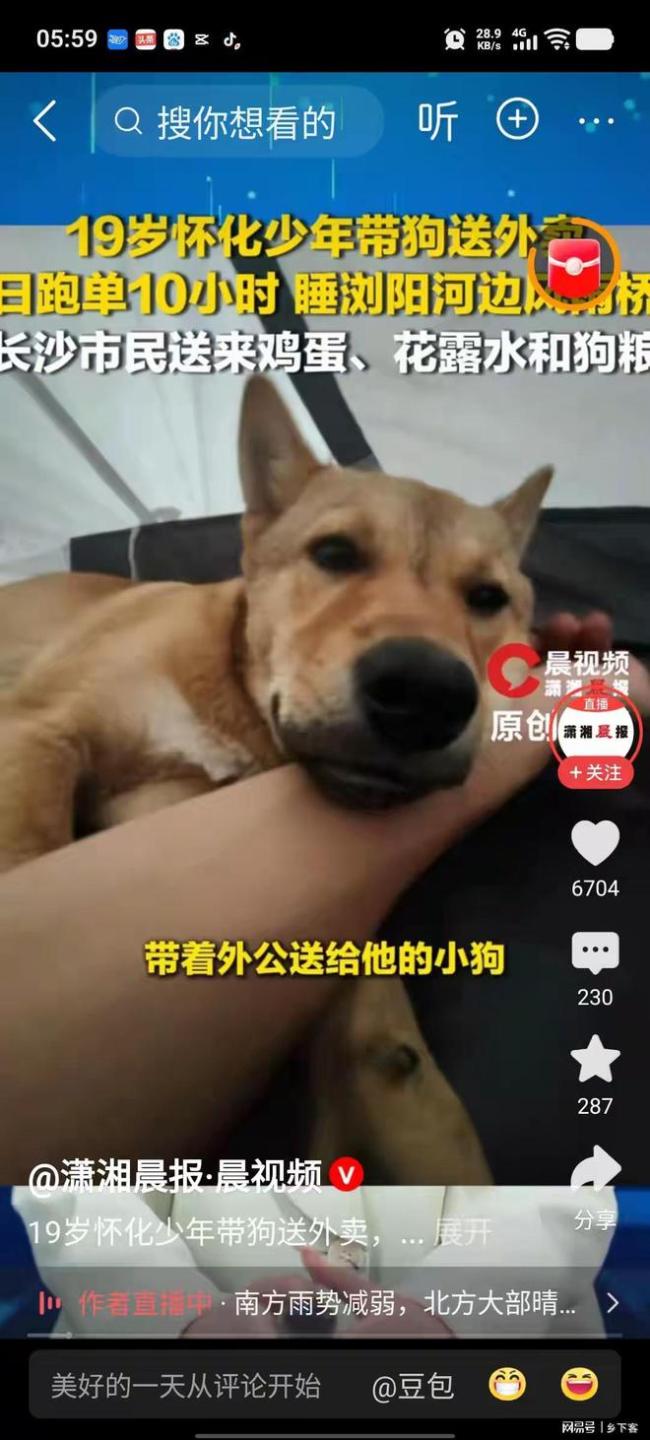 男子帶狗送外賣日跑單10小時(shí) 狗狗陪伴溫暖人心