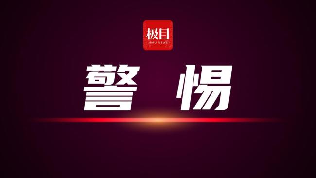 女子分饰多角骗36万余元获刑