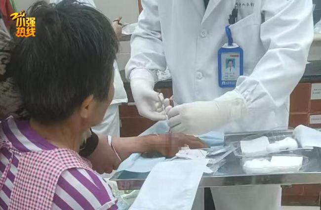 女子上班路上被大狼狗扑咬得血肉模糊 双方就赔偿金额产生分歧