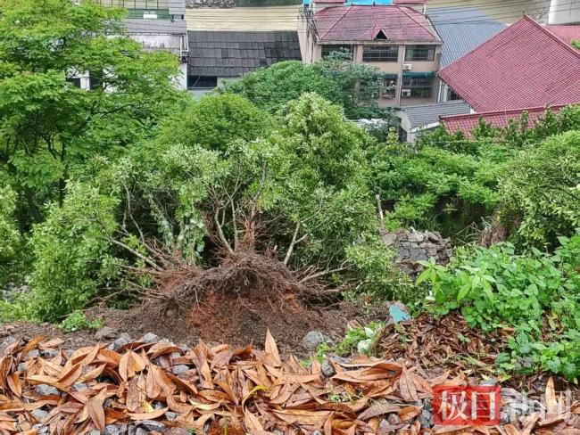 湖北一社區(qū)書記多看一眼救下128人 教科書式避險(xiǎn)成功