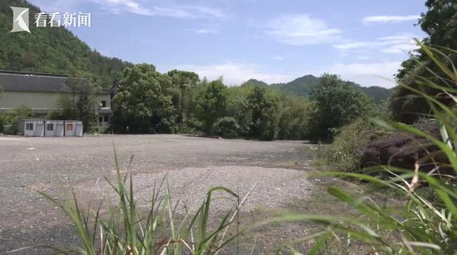 浙江两棵超500岁古树遭违规移栽死亡 行政审批缺失引发争议