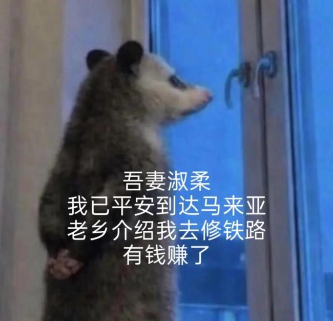 2026年最火表情包出現(xiàn)了 負(fù)鼠入侵打工人群聊