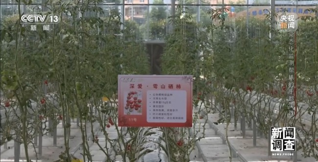 常态化监测帮扶如何化解返贫风险？