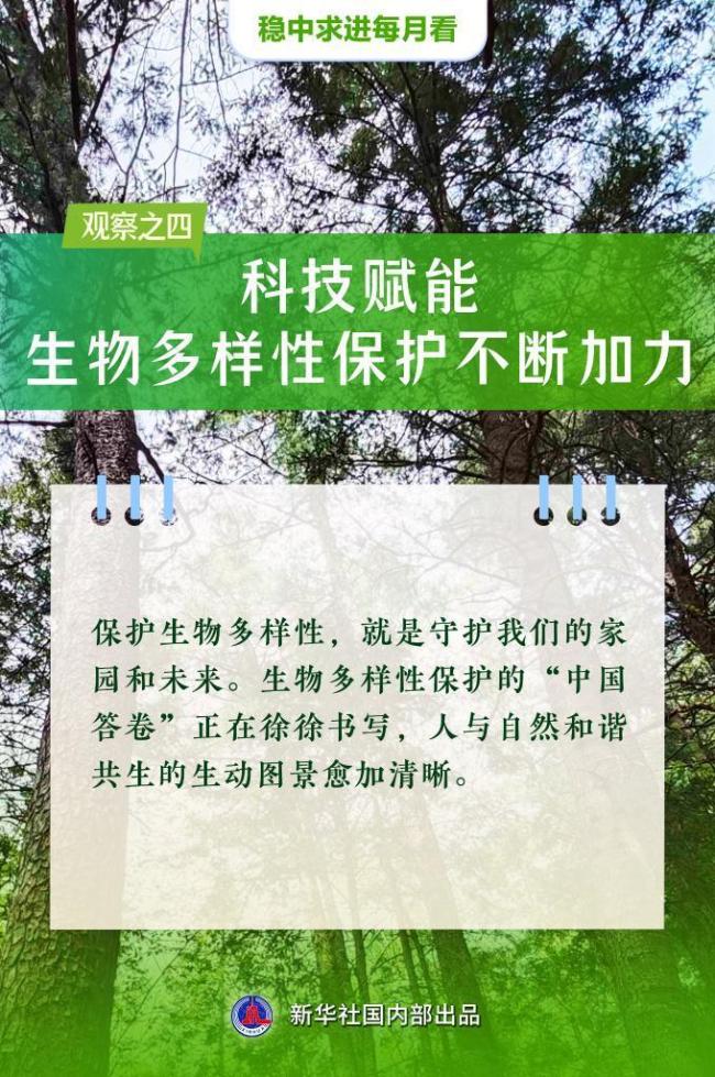 5月全國(guó)各地經(jīng)濟(jì)社會(huì)發(fā)展觀察 穩(wěn)中有進(jìn)向新向優(yōu)