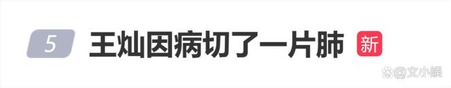 王灿因病切了一片肺