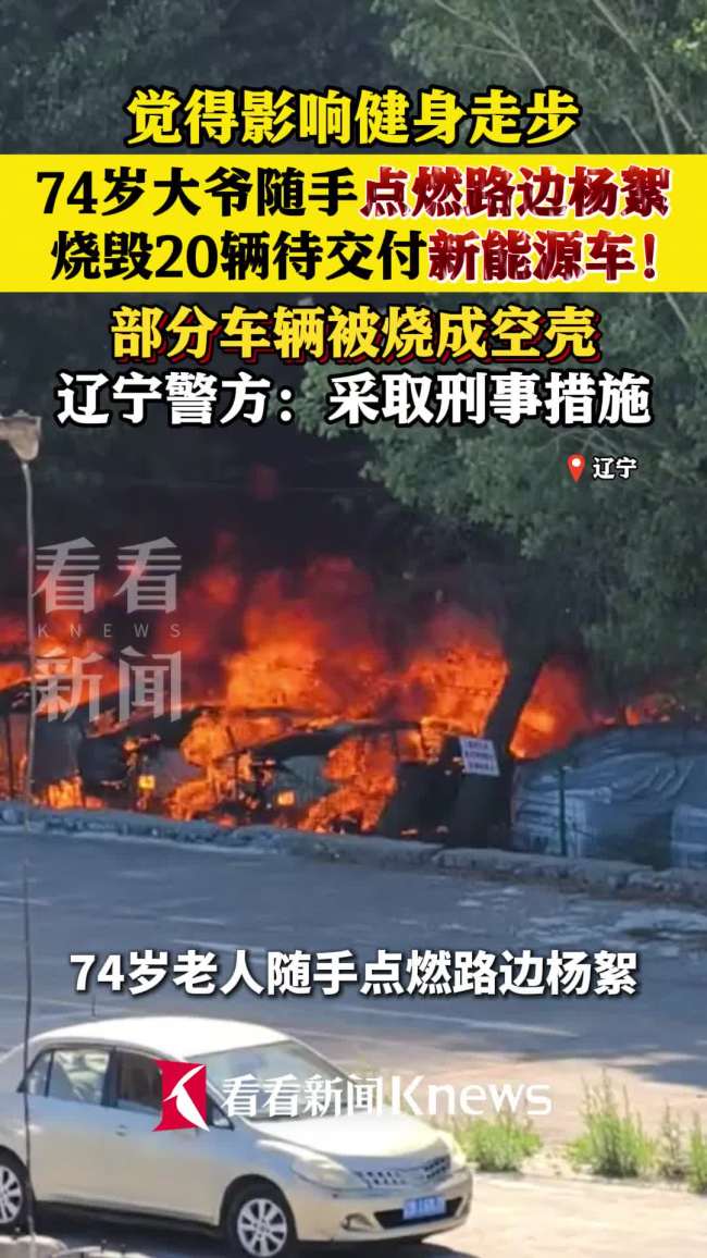老人烧杨絮引燃20辆汽车