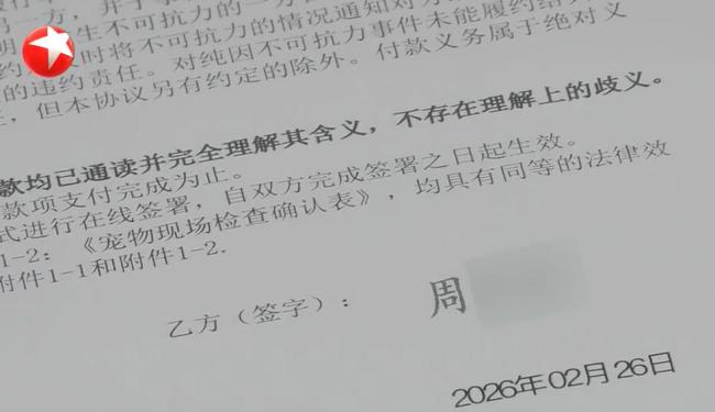 800元买猫背上近8000元猫贷 低价诱惑背后的陷阱