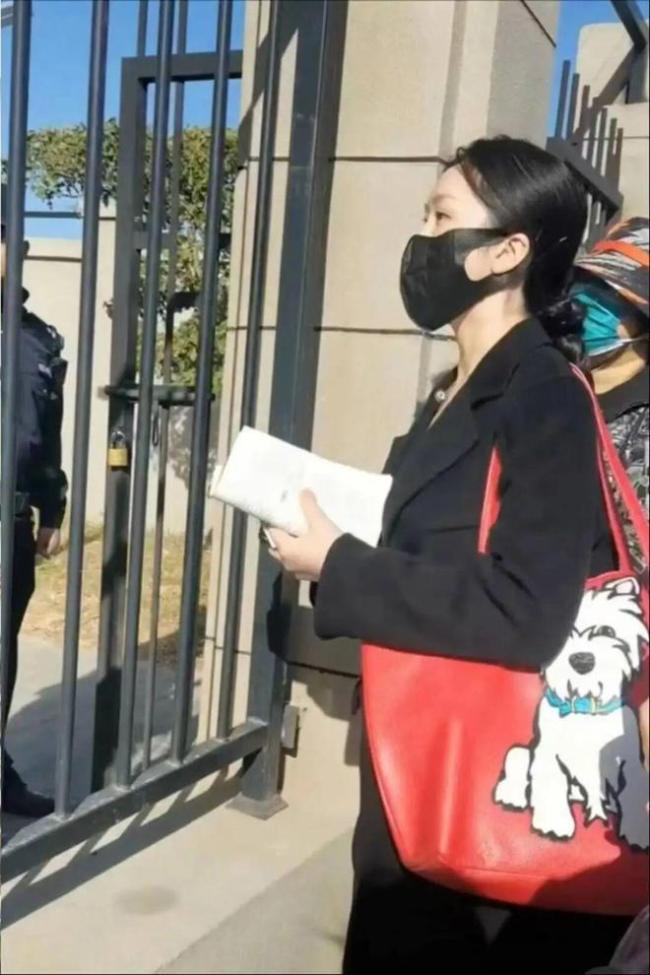 百萬粉網(wǎng)紅邊牧被偷宰殺后續(xù)！小偷慌到攔車求和，主人當(dāng)場氣哭 9年情感難以估量