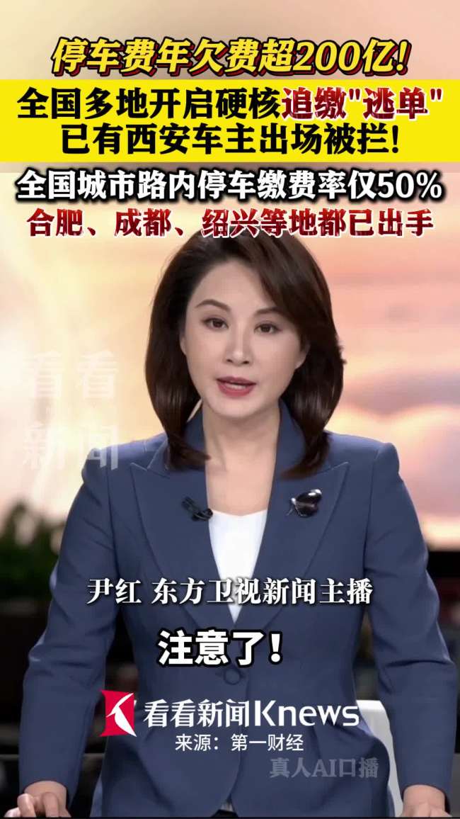 多地追缴停车逃单,全国城市路内停车年欠费超200亿元
