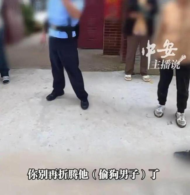 百萬粉網紅邊牧被偷宰殺后續(xù)！小偷慌到攔車求和，主人當場氣哭 9年情感難以估量