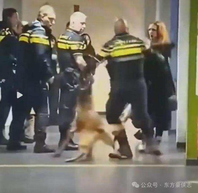 荷兰女子被警察拖拽丈夫还击被打