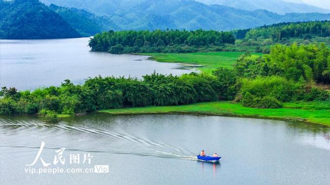 江西樟樹：守護(hù)一泓碧水
