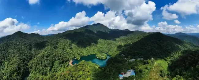 鼎湖山发现新物种 填补中国马陆动物地理分布空白