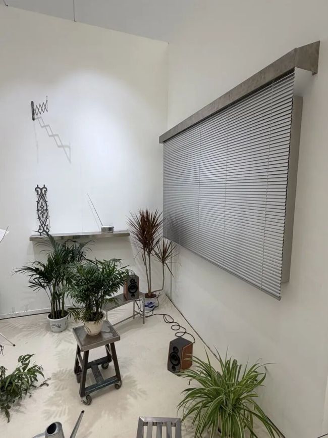 央美毕业展多件作品被毁 文明观展亟待加强