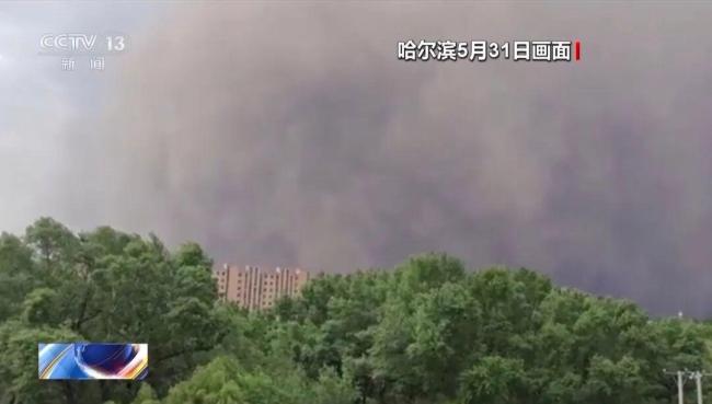 黑龍江發(fā)生極端大風災害 國家防災減災委派工作組指導救災