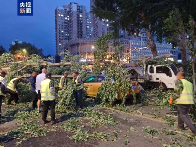 黑龙江发生极端大风灾害