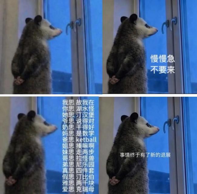 背手负鼠火了